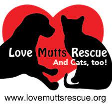 People who want to adopt a pet should. Pets For Adoption At Love Mutts Rescue Inc In Raleigh Nc Petfinder