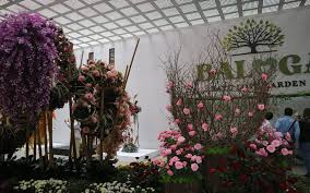 Mengusung nama alamanda jogja flower garden, wisata taman outdoor menarik perhatian. Batu Love Garden Surga Pencinta Bunga Dan Aneka Tanaman Okezone Travel