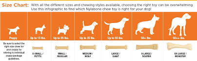 Nylabone Just For Puppies Key Ring Bone Puppy Dog Teething Chew Toy