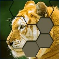 Maybe you would like to learn more about one of these? Get Jigsaw Hexa Puzzle Block Hexa Puzzle Game Microsoft Store En Ug