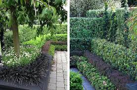 Hedge Garden Design Nursery Garden Design Hedges Garden Inspiration
