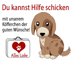 Schickt · schickte · hat geschickt. Du Kannst Hilfe Schicken Respektiere Leben Der Tierschutzverein