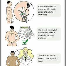 What does a testicular cancer lump feel like? Mypaddi Testicular Cancer Occurs In The Testicles Facebook
