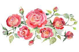 Bouquet With Roses Red Watercolor Png Graphic By Mystocks Creative Fabrica Watercolor Watercolor Rose Illustration