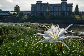 Chattahoochee River Conservancy