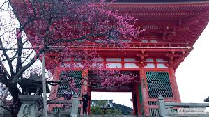 Pertanyaan dan jawaban harus berkaitan dengan akomodasi atau kamar. 3 Hari Keliling Kyoto Itu Seru Banget Deffa S Journeys
