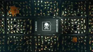I find your icons really pretty, i loved the spetsnaz flower crown ones. 10 Smoke Tom Clancy S Rainbow Six Siege Hd Wallpapers Background Images