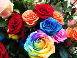 Un bellissimo mazzo di rose è un dono da regalare in occasioni speciali e memorabili. Immagini Stock Varieta Di Splendide Rose Rosso Rosa Blu E Arcobaleno Image 10317359