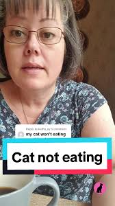 Cat Choose to Eat in Fear