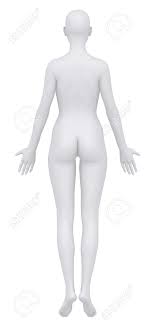 These planes differentiate the body anterior and posterior, ventral and. Female Body In Anatomical Position Posterior Stock Photo Picture And Royalty Free Image Image 15563769