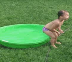 Check spelling or type a new query. Funny Videos Gifs Get The Best Gif On Giphy