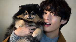 Maybe you would like to learn more about one of these? Why Is Twitter In Love With Kim Taehyung S Dog Yeontan Yaay K Pop
