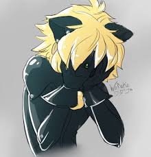 Ladybug was the epitome of creation, she fixed what he destroyed with his cataclysm, what the akumas destroyed. Broken Disaster Miraculous Ladybug Memes Miraculous Ladybug Miraculous Ladybug Anime