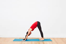 Down Dog Split Yoga Poses For Beginners Essential Yoga Poses Home Yoga Practice