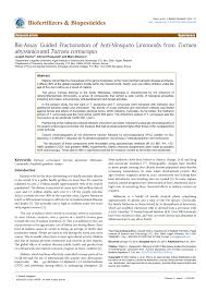 Image result for Turraea mombassana