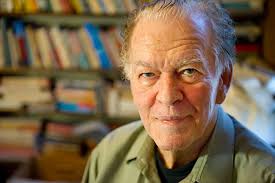 Iran protesters: the Harvard professor behind their tactics