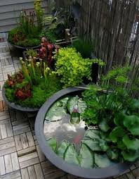 Pin On Inspiring Gardens
