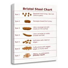 Amazon Com Torass Canvas Wall Art Print Funny Bristol Stool