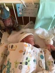 Facebook má ivan bartoš zde: Sef Piratu Ivan Bartos Ma Syna Opravdu Se Jmenuje Zarici Havran Maminka Cz