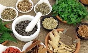 Medicinal Plants in Ayurveda for Balancing Kapha Dosha