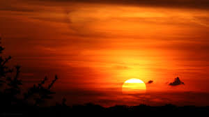 Er kommt viel/wenig an die sonne — he gets/doesn't get a lot of sun, he goes/doesn't go out in the ; Wann Geht Die Sonne Unter Arts Fotos