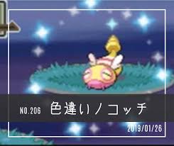 ノコッチ 色 違い