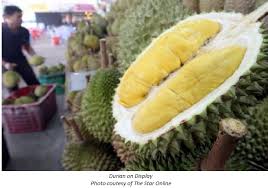 The taste and smell are the strongest among all durian variety. Malaysia Durian Orchard Tours Snapped Up Tfnet International Tropical Fruits Network