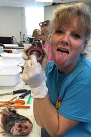 Scientists Find 15 Fish in Single Lionfish — SEVENSEAS Media