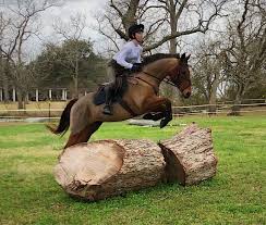 Please stay on designated trails. Elliot Log Cross Country Eventing Cross Country Jumps Horse Riding Gear Equestrian