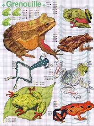 You will find designs of celtic, egyptian, asian and southwest flair. 86 Frog Cross Stitches Ideas Cross Stitch Animals Cross Stitch Cross Stitch Patterns