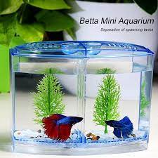 These fins can get snagged or torn on rough tank décor. Odorless Betta Fish Tank Aquarium Diy Ornament Partition Shrimp Fishbowl Goldfish Spawning Box Fish Tank Aquarium Aquariums Tanks Aliexpress