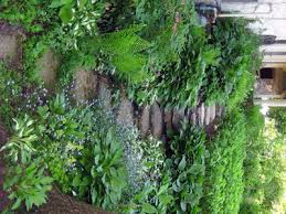 Schattiger Weg Garten Schattengarten Und Haus Und Garten