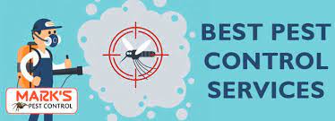 Control pest sydney lead the way in pest control and pest inspection sydney and have inspected and eradicated termites from thousands of local homes. Pest Control North Sydney 0488851646 Spider Control Expert