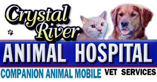 They have boarding, grooming and veterinary services so there's ways something to do during your shift! Crystal River Animal Hospital Veterinarian In Crystal River Dog Vet Cats Horses Mobile Equine Veterinarian