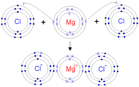 Anhydrous mgcl2 contains 25.5% elemental magnesium by mass. Gcse Chemistry The Reaction Between Magnesium And Chlorine Balanced Chemical Equation Ionic Bonding Chloride Gcse Science