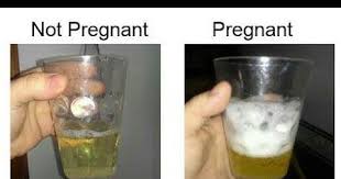 Pin On Diet Plan