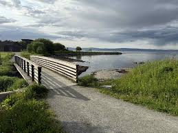 Backyard Trondheim