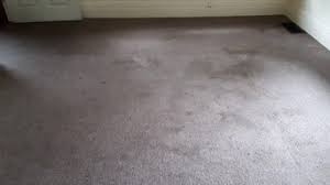 Maybe you would like to learn more about one of these? Best 15 Carpet Cleaners In Geneseo Ny Houzz