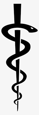 The snake symbolizes, through the shedding of its skin, the renewal of life. Big Image Rod Of Asclepius Medical Symbol Meaning Transparent Png 1072x2102 Free Download On Nicepng