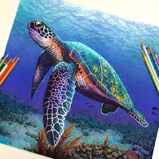 These Gorgeous Pencil Drawings Look So Real You D Think They Re Photoshopped Color Pencil Illustration Turtle Art Turtle Painting