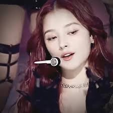 Nancy Dinino Reviews