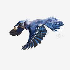 Post a comment read more download 80 foto gambar burung terbang format png paling bagus. Hot Morning Update Gambar Burung Cililinformat Png Index Of Wp Content Uploads 2018 10 11 Burung Hantu Penangkap Mimpi Dreamcatcher Owl Kreatif Surga Anak Kucing Kreatif Buku Mewarnai Dreamcatcher Owl