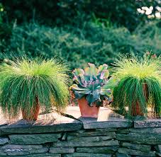Get decorating ideas and diy projects for your home, easy recipes, entertaining ideas, and comprehensive information about. Prettiest Ornamental Grasses To Plant In Your Landscape Better Homes Gardens