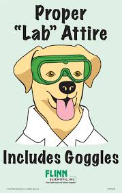 Shop affordable wall art to hang in dorms, bedrooms, offices, or anywhere blank walls aren't welcome. Flinn Favorite Goggle Safety Posters