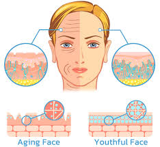 flysmus™ BotoxLUX Anti Aging Serum