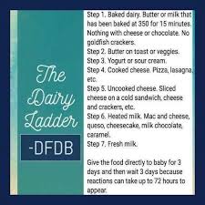 A milk protein allergy in infants is a serious problem. Reintroducing Dairy Lactose Free Diet Dairy Free Soy Free Recipe Dairy Free Breastfeeding