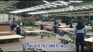 Lihat gaji yang ditulis oleh staff dan mantan staff sinar . Physical Distancing Pt Wijaya Triutama Plywood Industri Cegah Corona Youtube