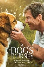 Disfruta Gratis En Pelismart De La Pelicula Completa La Razon De Estar Contigo Un Nuevo Vi Mejores Amigos Pelicula Ver Peliculas Completas Peliculas Completas