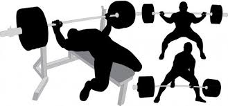 We did not find results for: 13 034 Weight Lifting Silhouette Vector Images Free Royalty Free Weight Lifting Silhouette Vectors Depositphotos