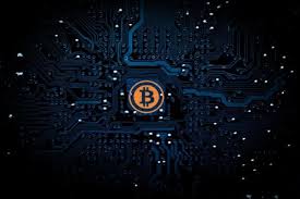 Bitcoin will survive as long as there is even one person using it. Will Bitcoin Or Dogecoin Grow More By 2022